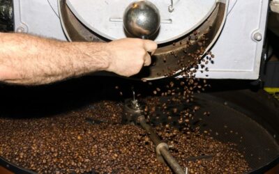 How Does Moisture Evaporate During Coffee Roasting?